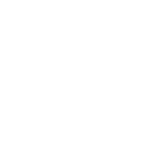 Centennial Auto Repair Mechanics-Belt