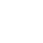 Centennial Auto Repair Mechanics-Fleet