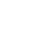 Centennial Auto Repair Mechanics-Van