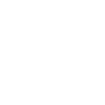 Centennial Automotive Repair Services Icon