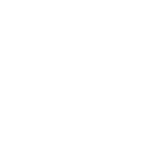 Centennial Automotive repair Services-Electrical